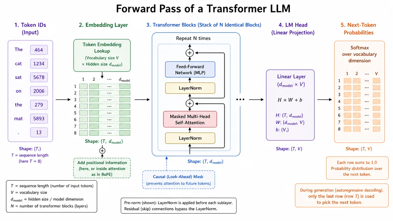 The forward pass: an embedding layer, a stack of identical transformer blocks, then the LM head producing logits that softmax turns into a probability distribution.
